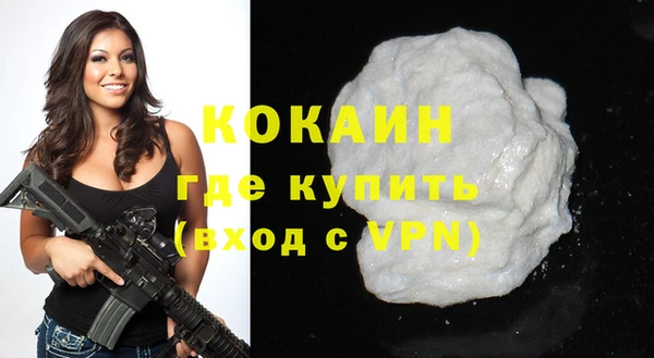 индика Новокубанск