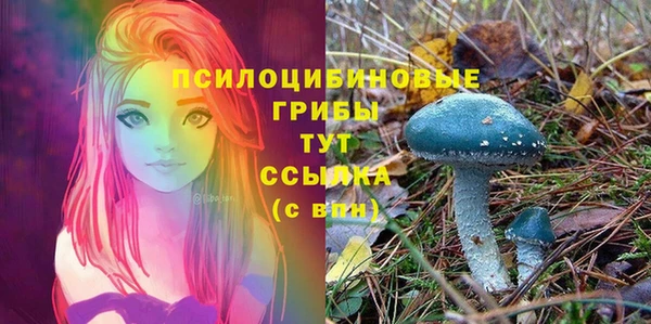 индика Новокубанск