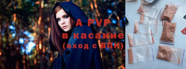 индика Новокубанск