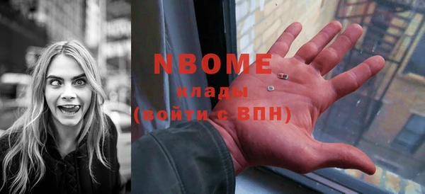 индика Новокубанск