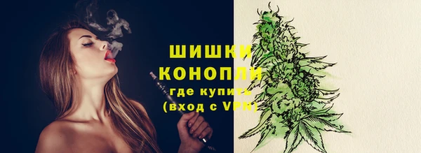 МДПВ Новозыбков