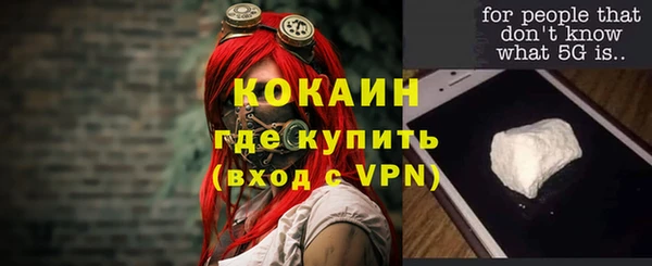 МДПВ Новозыбков
