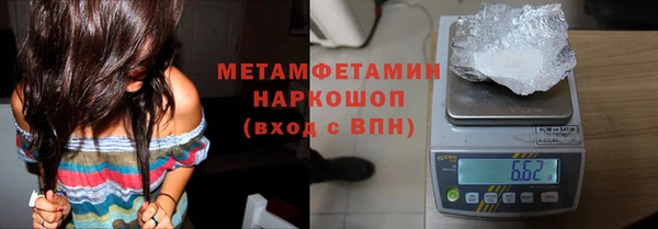 индика Новокубанск
