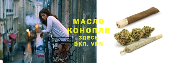 индика Новокубанск