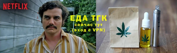 индика Новокубанск