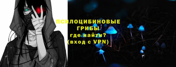 индика Новокубанск