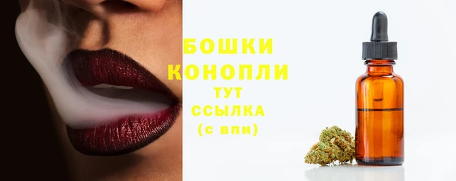 индика Новокубанск