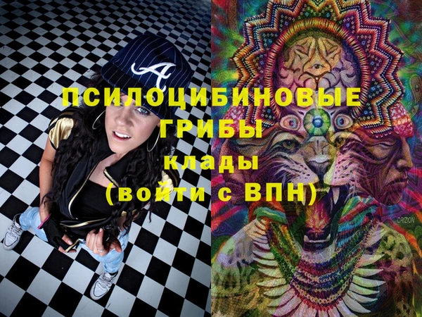 наркотики Новодвинск