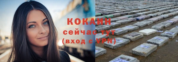 МДПВ Новозыбков